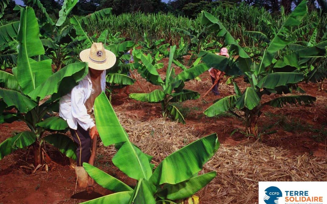 L’écologie avec le CCFD-Terre Solidaire