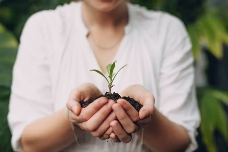 Parcours Laudato si’ : écologie et spiritualité