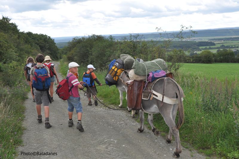 Pèlerins en marche avec un âne. Photo©Baladanes