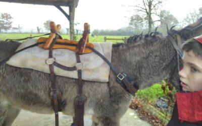 La carav’âne, été 2023, à travers la Sarthe
