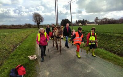 La carav’âne, été 2023, à travers la Sarthe