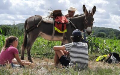 La carav’âne, été 2023, à travers la Sarthe