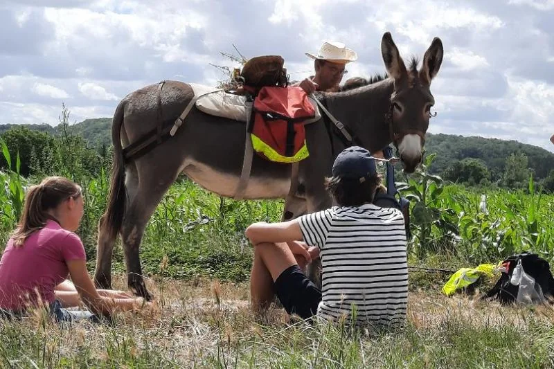 La carav’âne, été 2023, à travers la Sarthe