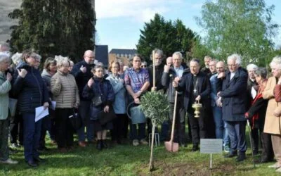 Un arbre de paix pour 60 ans d’œcuménisme en Sarthe