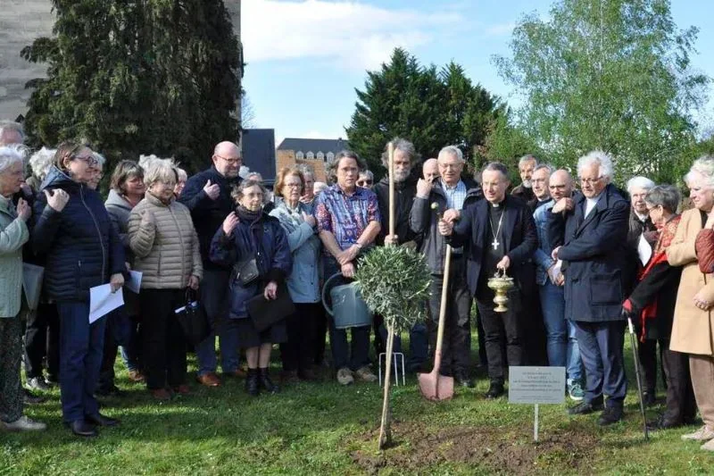 Un arbre de paix pour 60 ans d’œcuménisme en Sarthe