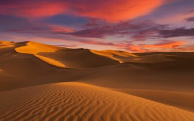 Journée annuelle de mémoire et de prière pour les personnes victimes de violences sexuelles, d’abus de pouvoir et de conscience au sein de l’Église.
