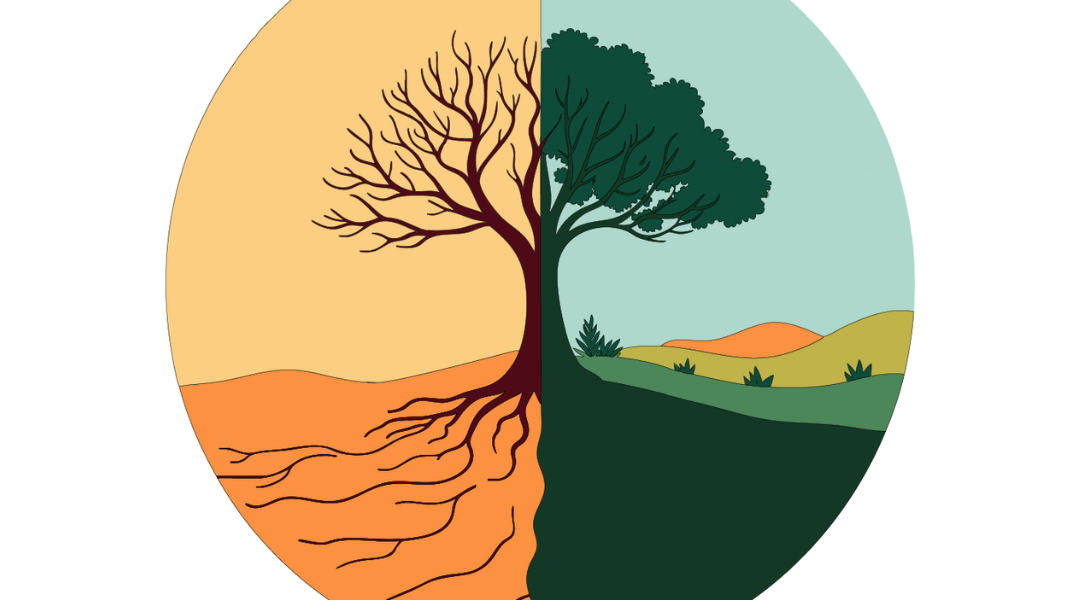 Programme du Temps pour la Création 2025 en Sarthe