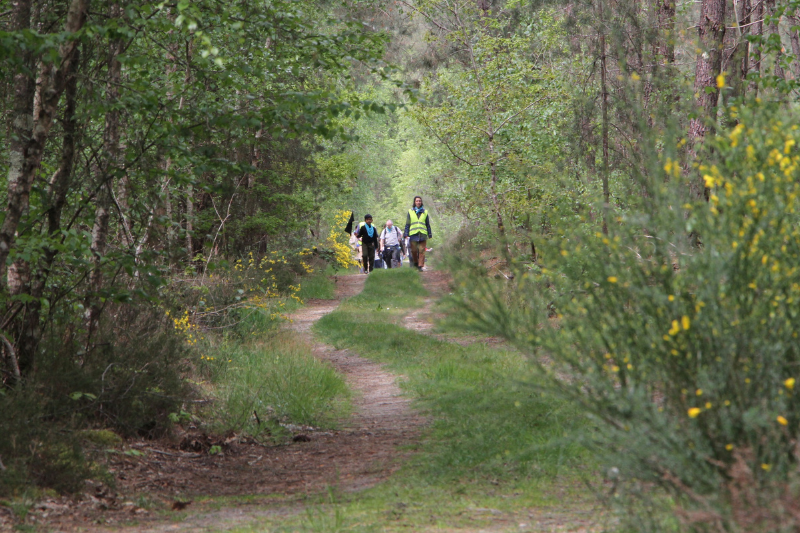 Pèlerinages_800x533