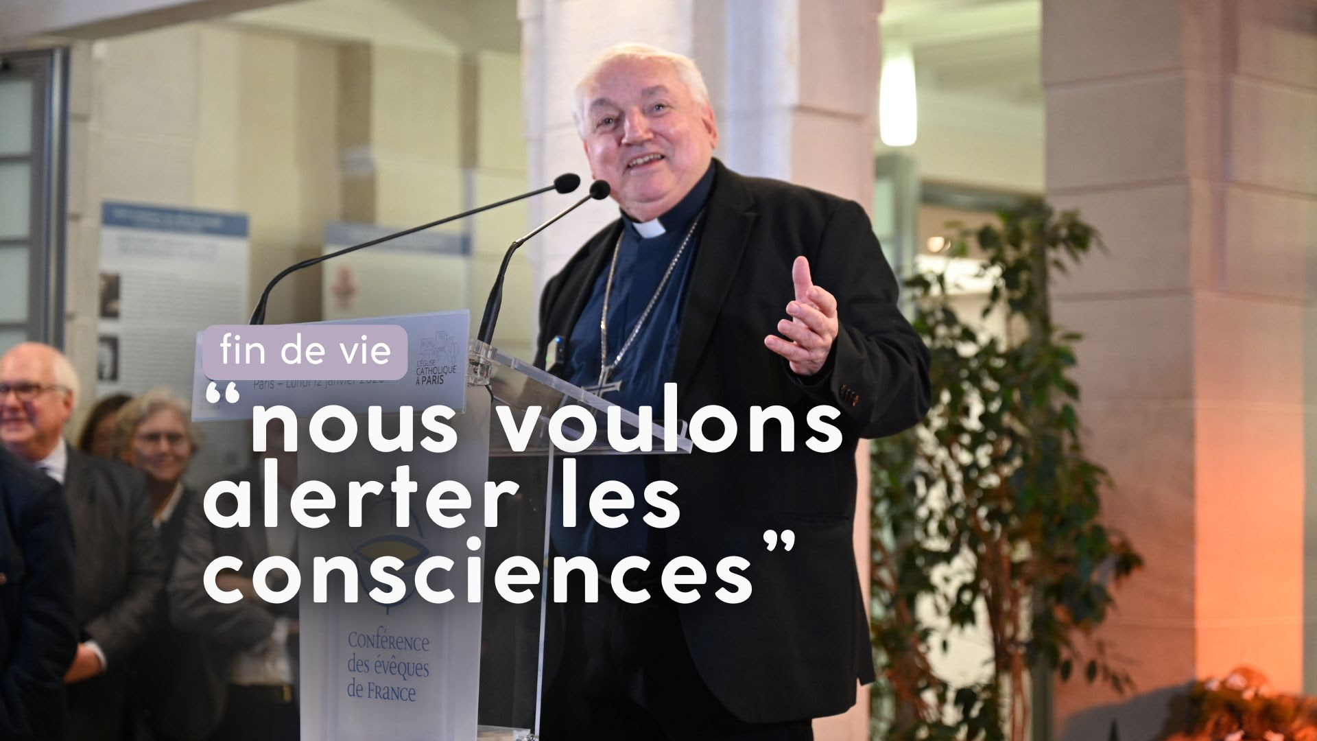 image cardinale aveline